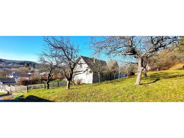 Immobilie in Lockenhaus - Panorama 200m² WFL, 2 Wohngeschoße, großer Garten, Obstbäume, Wald - Bild 3