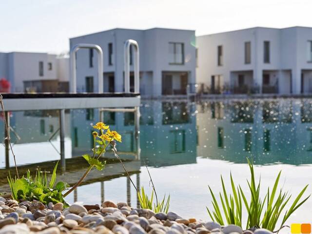 Immobilie in Grafenwörth - Mein Haus am See. Sonnenweiher Grafenwörth. - Bild 2