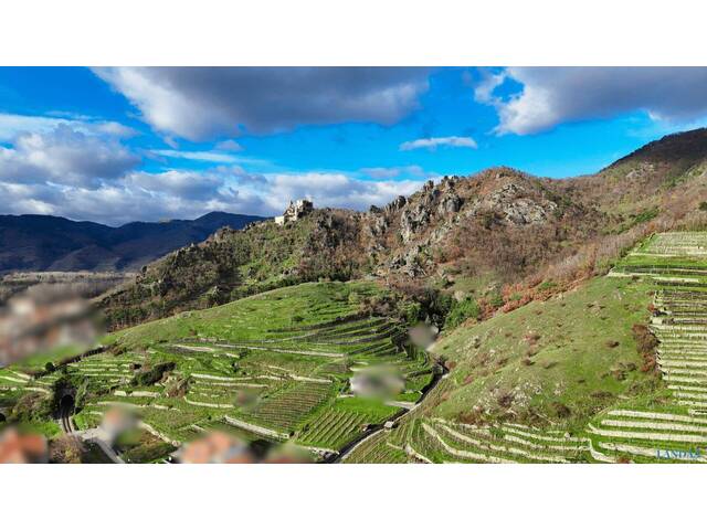 Immobilie in Dürnstein - Leben, wo andere Urlaub machen – Modernes Wohnen in Dürnstein - Bild 3