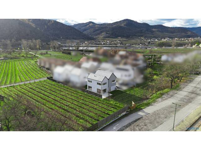 Immobilie in Dürnstein - Leben, wo andere Urlaub machen – Modernes Wohnen in Dürnstein - Bild 4