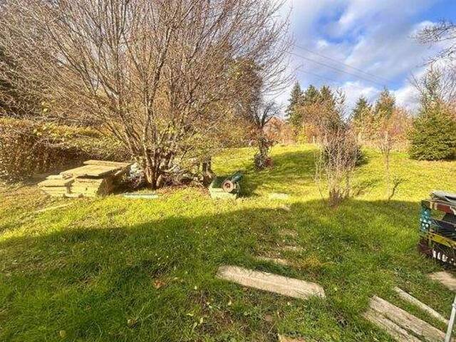 Immobilie in Jennersdorf - Charmantes Wohnhaus mit modernisiertem Anbau und großem Grundstück in Jennersdorf - Bild 4