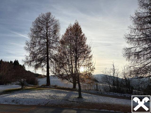 Immobilie in Unternberg - Familienfreundliches Einfamilienhaus - Bild 3