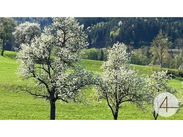 Immobilie in Perwarth - Für ein natürliches Wohlfühlerlebnis - individuell planbare Doppelhaushälfte in sonniger Lage! - Bild 3