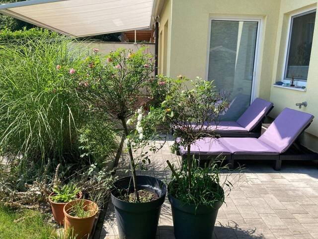 Immobilie in Seekirchen am Wallersee - Wohnen mit Aussicht – Exklusive Doppelhaushälfte in Seekirchen mit traumhaftem Garten & Panoramablick - Bild 0