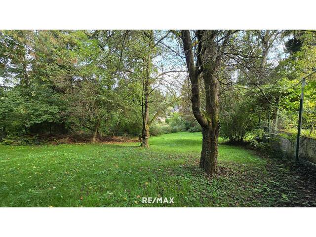 Immobilie in Zaubertal - Verwunschenes Juwel auf großzügigem Grundstück im Zaubertal - Bild 3