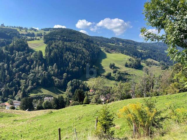 Immobilie in Knappenberg - RUHEOASE ÜBER 1000 METER - Bild 1