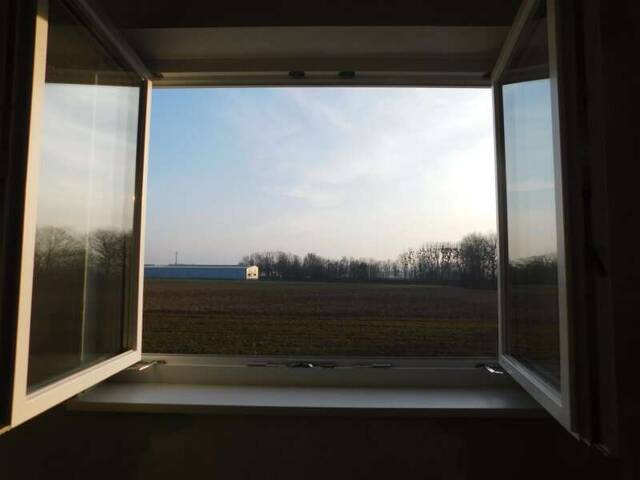 Immobilie in Saxen - Modernes Wohnen - Neubau-Reihenhäuser in Saxen - Bild 4