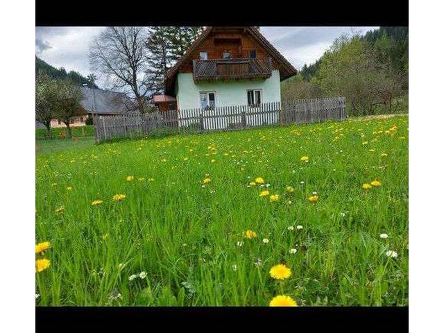Immobilie in Möderbrugg - Kleines Bauernhaus mit Potential - Bild 0