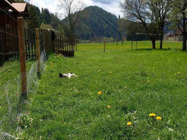 Immobilie in Möderbrugg - Kleines Bauernhaus mit Potential - Bild 2