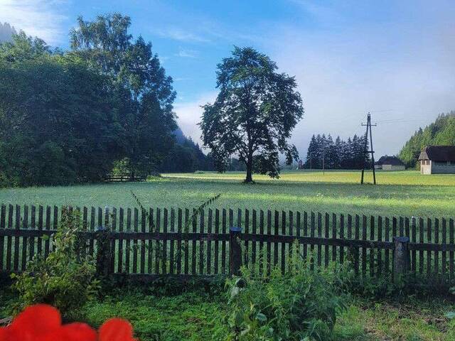 Immobilie in Möderbrugg - Kleines Bauernhaus mit Potential - Bild 3