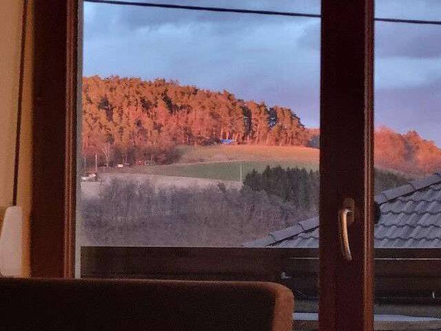 Immobilie in Pregarten - Ihr Eigenheim im Zentrum von Pregarten mit Garten und Pool - Einziehen und Wohlfühlen! - Bild 4