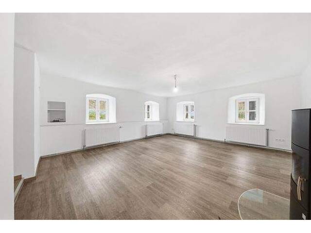 Immobilie in Hirschenwies - Erstbezug nach Renovierung (EG) und 26.849 m² Land (Tierhaltung erlaubt) ! - Bild 4