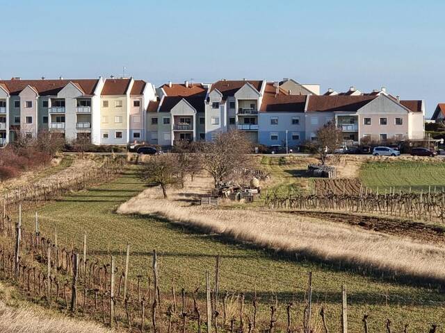 Immobilie in Rust - Großzügige Familienwohnung in der Storchenstadt Rust am See - Bild 0