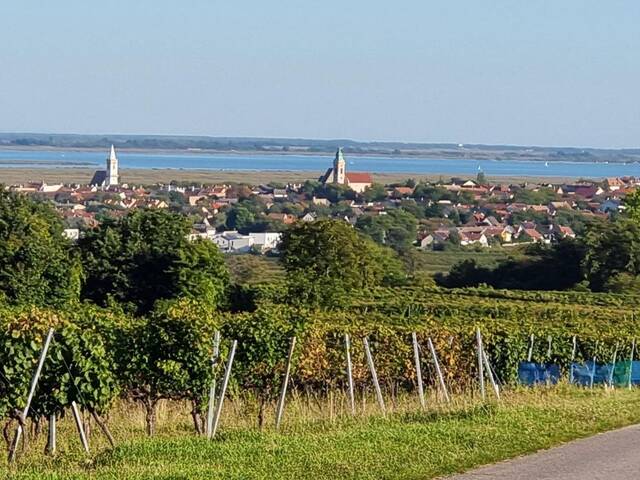 Immobilie in Rust - Großzügige Familienwohnung in der Storchenstadt Rust am See - Bild 1