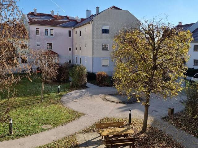 Immobilie in Rust - Großzügige Familienwohnung in der Storchenstadt Rust am See - Bild 2