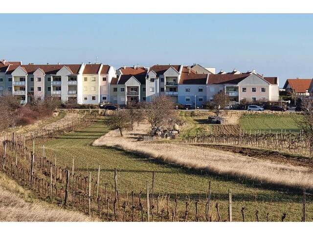 Immobilie in Rust - Großzügige Familienwohnung in der Storchenstadt Rust am See - Bild 3