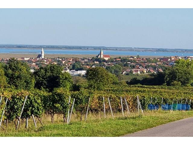 Immobilie in Rust - Großzügige Familienwohnung in der Storchenstadt Rust am See - Bild 4
