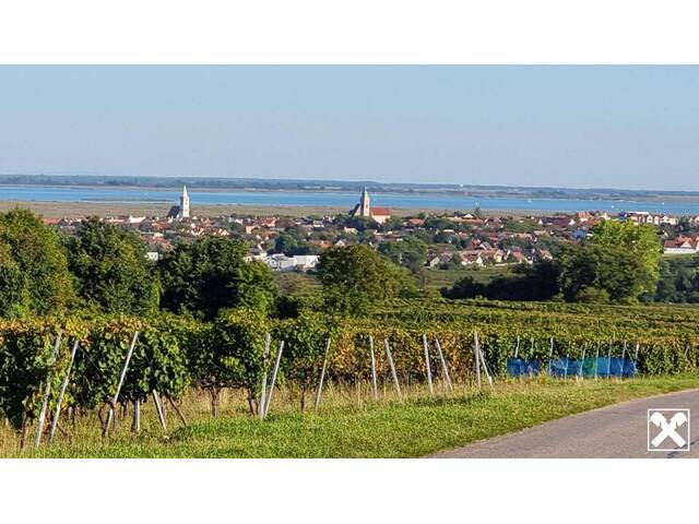Immobilie in Rust - Großzügige Familienwohnung mit Tiefgarage in der Storchenstadt Rust am See - Bild 0