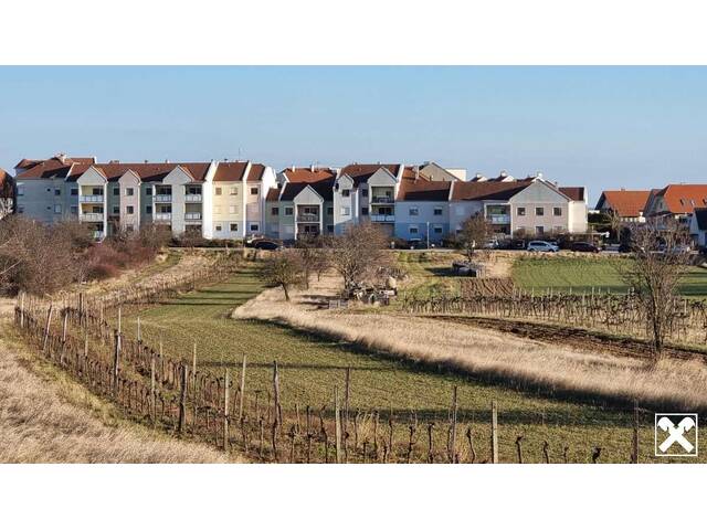 Immobilie in Rust - Großzügige Familienwohnung mit Tiefgarage in der Storchenstadt Rust am See - Bild 1