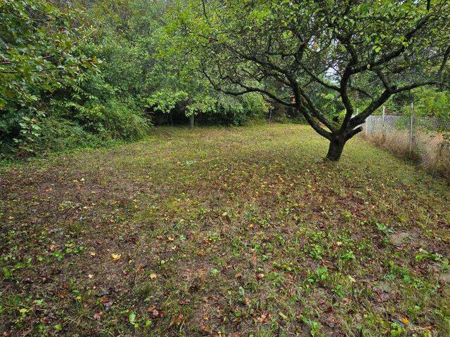 Immobilie in Kierling - Rohdiamant mit 300m2 Wohnfläche auf ca. 2580m2 Grundfläche in 3400 Klosterneuburg - Kierling! - Bild 3