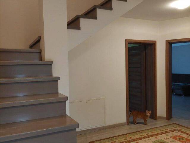 Immobilie in Prellenkirchen - 2472 Prellenkirchen - Großfamilie gesucht - mit separater Einliegerwohnung - Bild 2