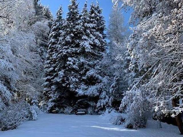 Immobilie in Spital am Semmering - 300 Meter von der MITTELSTATION STUHLECK entfernt - Bild 1
