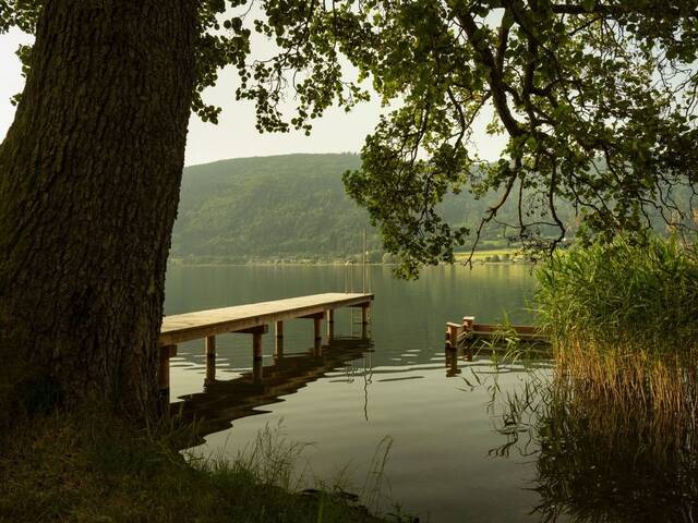 Immobilie in Steindorf am Ossiacher See - Traumhafte Aussicht und Seezugang - The Lakes Steindorf am Ossiachersee - Bild 1