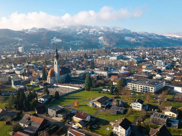 Immobilie in Höchst - Neubau: Doppelhaushälften in zentraler Lage in HÖCHST - Bild 2