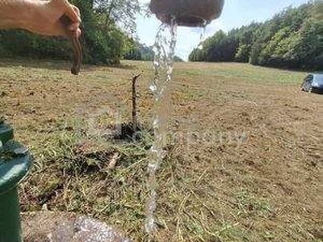 Immobilie in Heiligenkreuz im Lafnitztal - Die Lage...die Lage...die Lage...absolute Alleinlage im Südburgenland - Bild 3