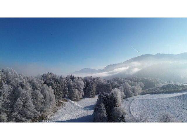 Immobilie in Ebenthal - Einfamilienhaus i.Ruhelage Radsberg - parkähnlicher Garten, Wintergarten, Kachelofen + Nebengebäude - Bild 1