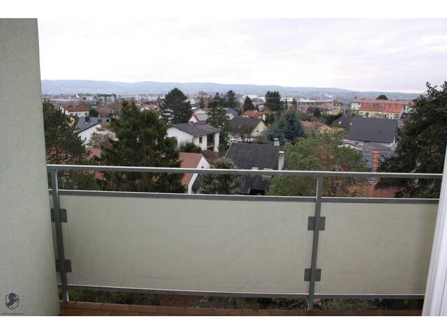 Immobilie in Tulln an der Donau - Kompakte 2-Zimmer-Eigentumswohnung mit Balkon, Stellplatz & Keller - Bild 2
