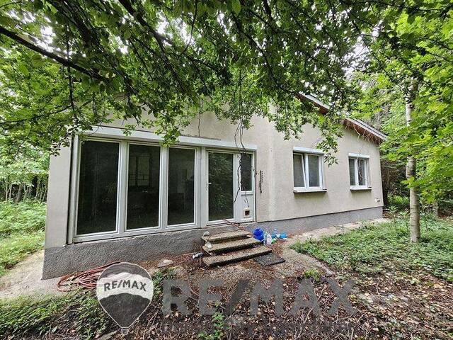 Immobilie in Moosbrunn - SANIERUNGSPROJEKT MIT VIEL POTENZIAL | ca. 1.085 m² Grundstücksfläche | Ruhelage in Mitterndorf an der Fischa - Bild 0