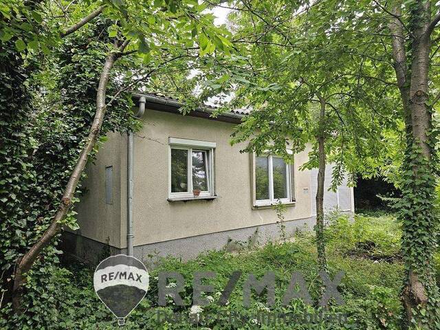 Immobilie in Moosbrunn - SANIERUNGSPROJEKT MIT VIEL POTENZIAL | ca. 1.085 m² Grundstücksfläche | Ruhelage in Mitterndorf an der Fischa - Bild 3