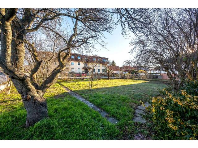 Immobilie in Rust - NEUER PREIS: Sehr gepflegtes Einfamilienhaus im idyllischen Rust am Neusiedler See - Bild 4