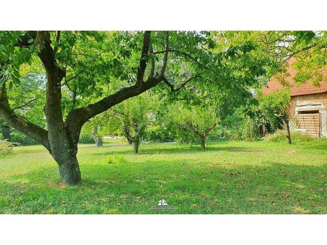 Immobilie in Unterloisdorf - DEIN ZUHAUSE - Streckhof in Unterloisdorf im Burgenland - provisionsfrei für die Käufer! - Bild 2