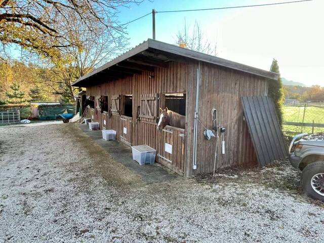 Immobilie in Schiefling - Bauernhof mit Kärntner Landhaus, Stallungen und Koppeln mit Wörtherseeblick - Bild 4