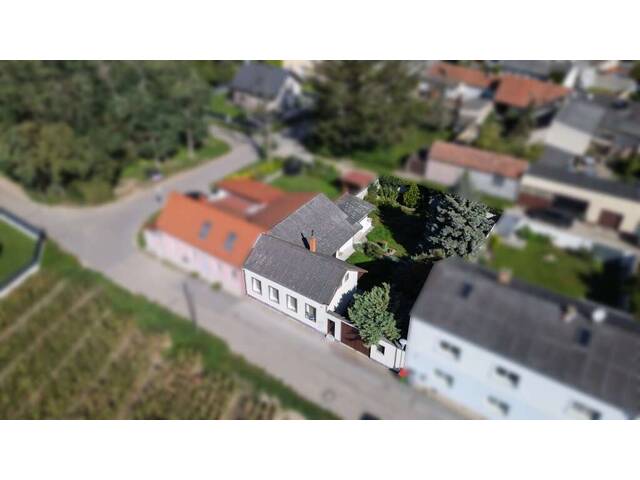 Immobilie in Wittau - Modernisiertes Einfamilienhaus in 2301 Wittau – Ihr neues Zuhause wartet! - Bild 1