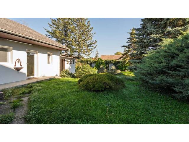 Immobilie in Wittau - Modernisiertes Einfamilienhaus in 2301 Wittau – Ihr neues Zuhause wartet! - Bild 3