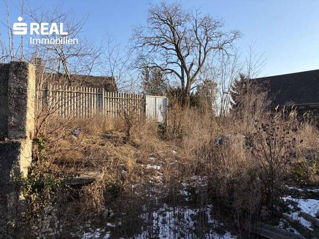 Immobilie in Palterndorf - Haus - Rohbau in Palterndorf - Bild 3