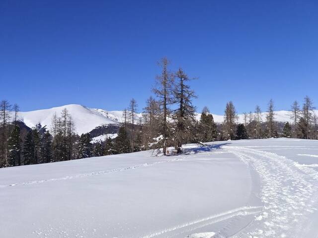 Immobilie in Sirnitz - Kärnten: Hochrindl-Nähe Turracher Höhe: Zweitwohnsitz in alpiner Bestlage! Honorarfrei für Käufer: innen! Erstbezug! Tiefgarage! - Bild 2