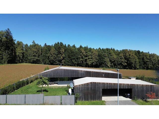 Immobilie in Heiligenkreuz am Waasen - Architekten Bungalow - Bild 0