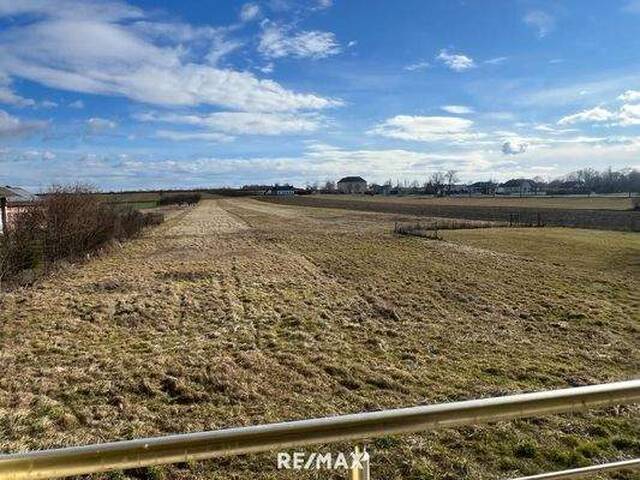 Immobilie in Schachendorf - Geräumiges, voll unterkellertes Wohnhaus - zum Fertigstellen! - Bild 3