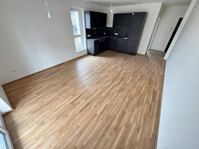 Immobilie in Sinabelkirchen - Moderne 2-Zimmer-Anlegerwohnung (55,43 m²) mit Terrasse & Eigengarten in Untergroßau/Sinabelkirchen - Bild 3