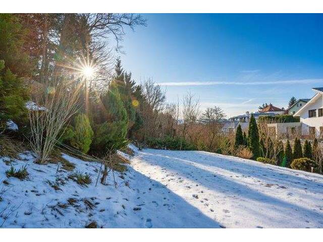 Immobilie in Gablitz - Hochwertige Wohnimmobilie mit 3 Einheiten - Wohnen und Arbeiten in waldnaher Ruhelage - Bild 2