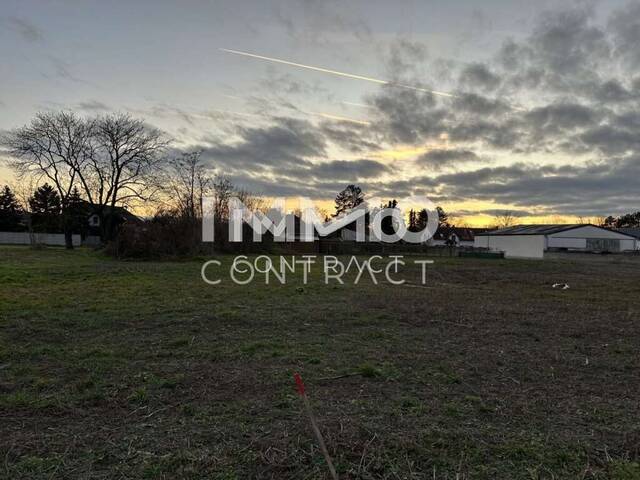 Immobilie in Mühlleiten - Mehr Haus fürs Geld - schlüsselfertig inklusive! Donauauen gleich ums Eck! - Bild 3