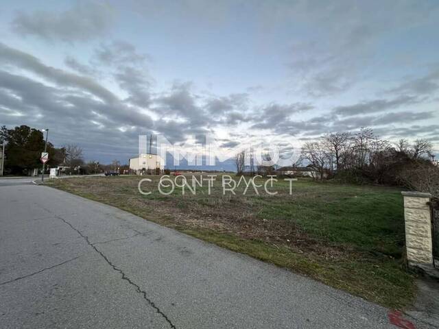 Immobilie in Mühlleiten - Mehr Haus fürs Geld - schlüsselfertig inklusive! Donauauen gleich ums Eck! - Bild 4