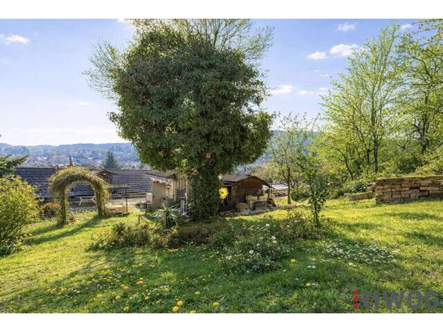 Immobilie in Wöllersdorf - ENTZÜCKENDES KLEINFAMILIENHAUS MIT WEINKELLER / SCHÖNER GARTEN MIT TERRASSE, GRILLHÜTTE UND SCHUPFEN / VIEL POTENZIAL / RUHIGE SIEDLUNGSLAGE - Bild 2