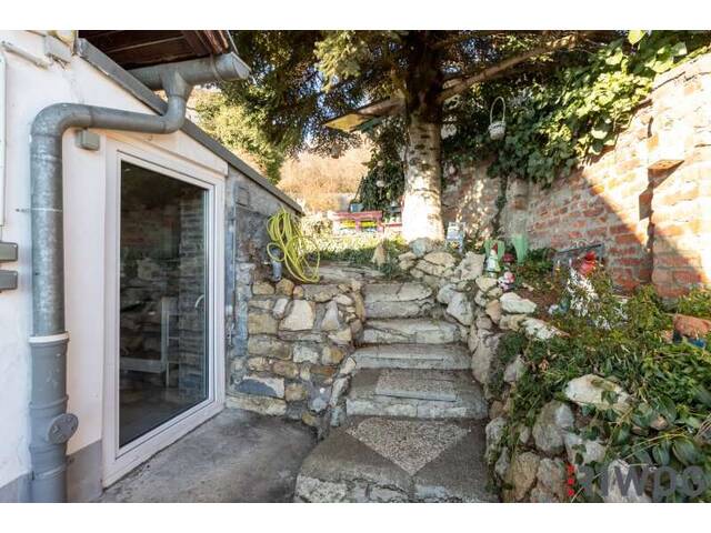 Immobilie in Wöllersdorf - ENTZÜCKENDES KLEINFAMILIENHAUS MIT WEINKELLER / SCHÖNER GARTEN MIT TERRASSE, GRILLHÜTTE UND SCHUPFEN / VIEL POTENZIAL / RUHIGE SIEDLUNGSLAGE - Bild 4