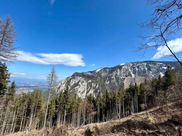 Immobilie in Feistritz ob Bleiburg - Exklusives Neubau Alpenchalet in Traumlage - Ruhe, Natur und Panorama auf 1.200 m Seehöhe - Bild 4
