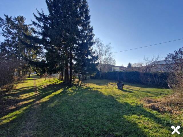 Immobilie in Absdorf - LIEBEVOLLER, KLEINER BUNGALOW IDEAL FÜR 2-3 PERSONEN MIT HERRLICHEM GARTEN SAMT ALTBAUMBESTAND IN BESTER ZENTRUMSNAHER WOHNLAGE - Bild 1